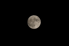 P1010816